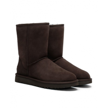 UGG Mens Classic Short Chocolate