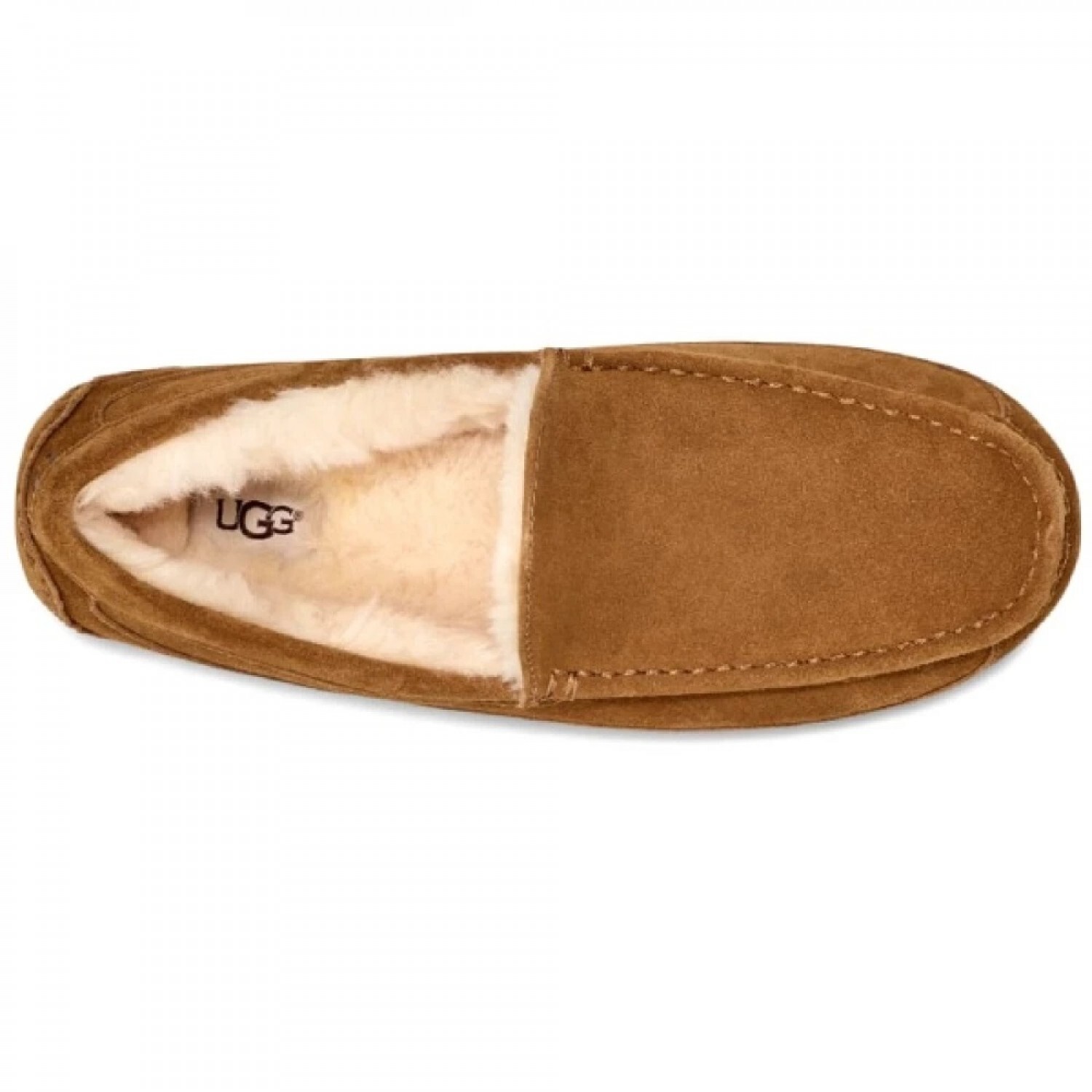 UGG Mens Ascot Chesthut