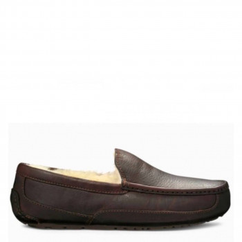 UGG Mens Ascot Leather Chocolate 