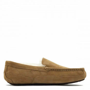 UGG Mens Ascot Chestnut